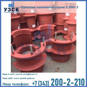 Сальники нажимные серия 5.900-3 в Рубцовске